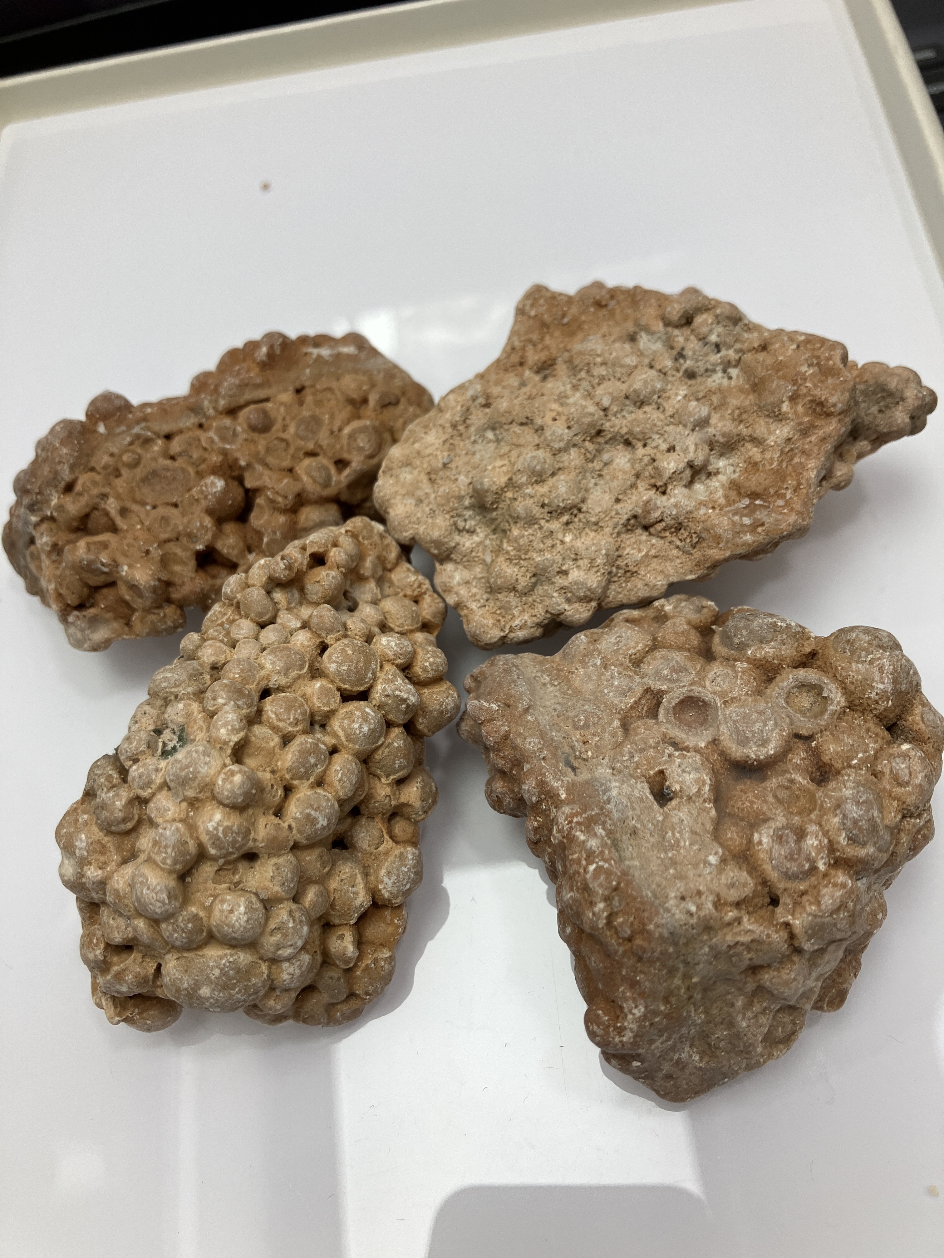 260411 -D27 龍宮舍利阿羅漢原礦石擺件1件（隨機形狀）