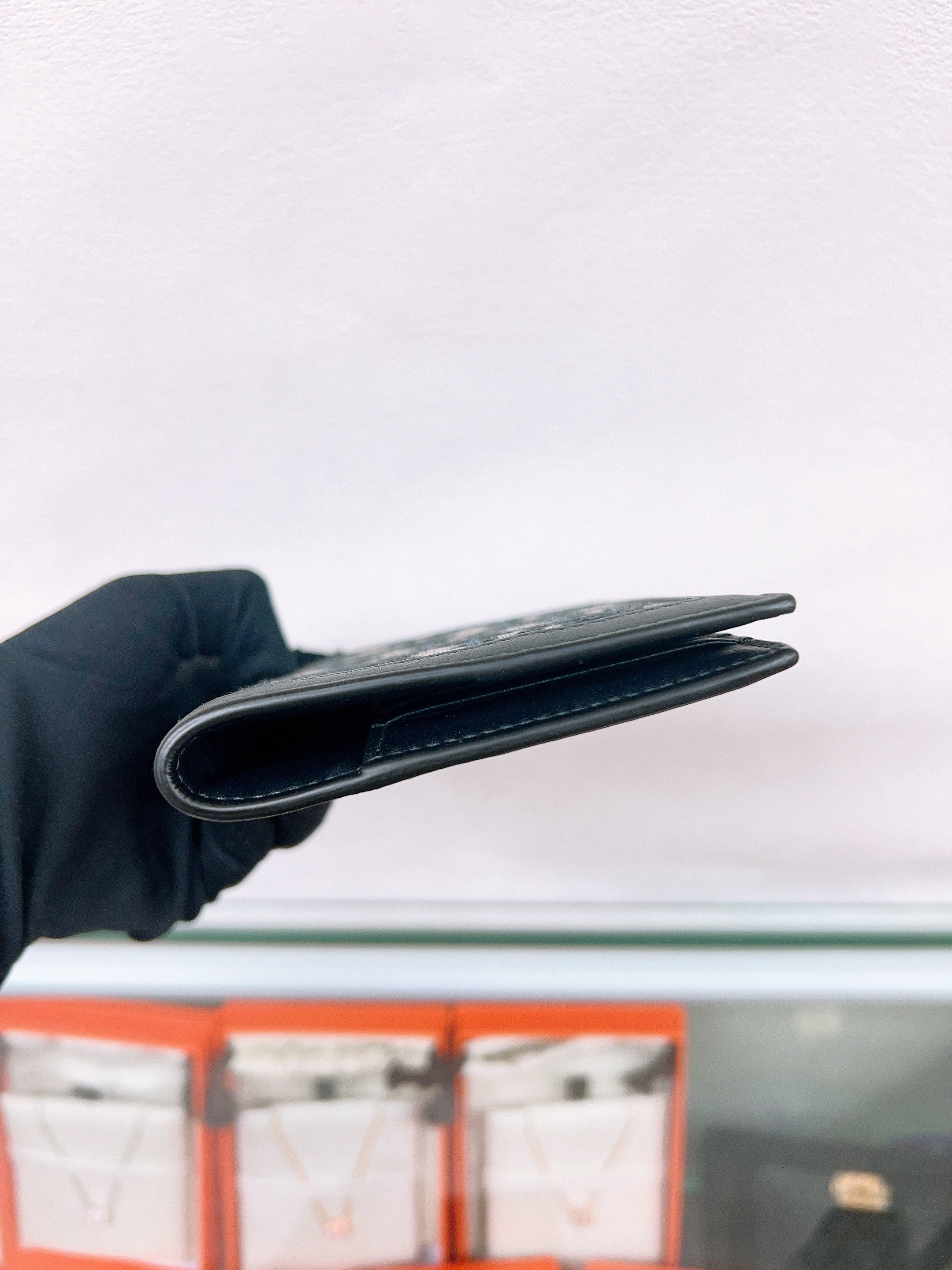 Dior passport holder (blue oblique)