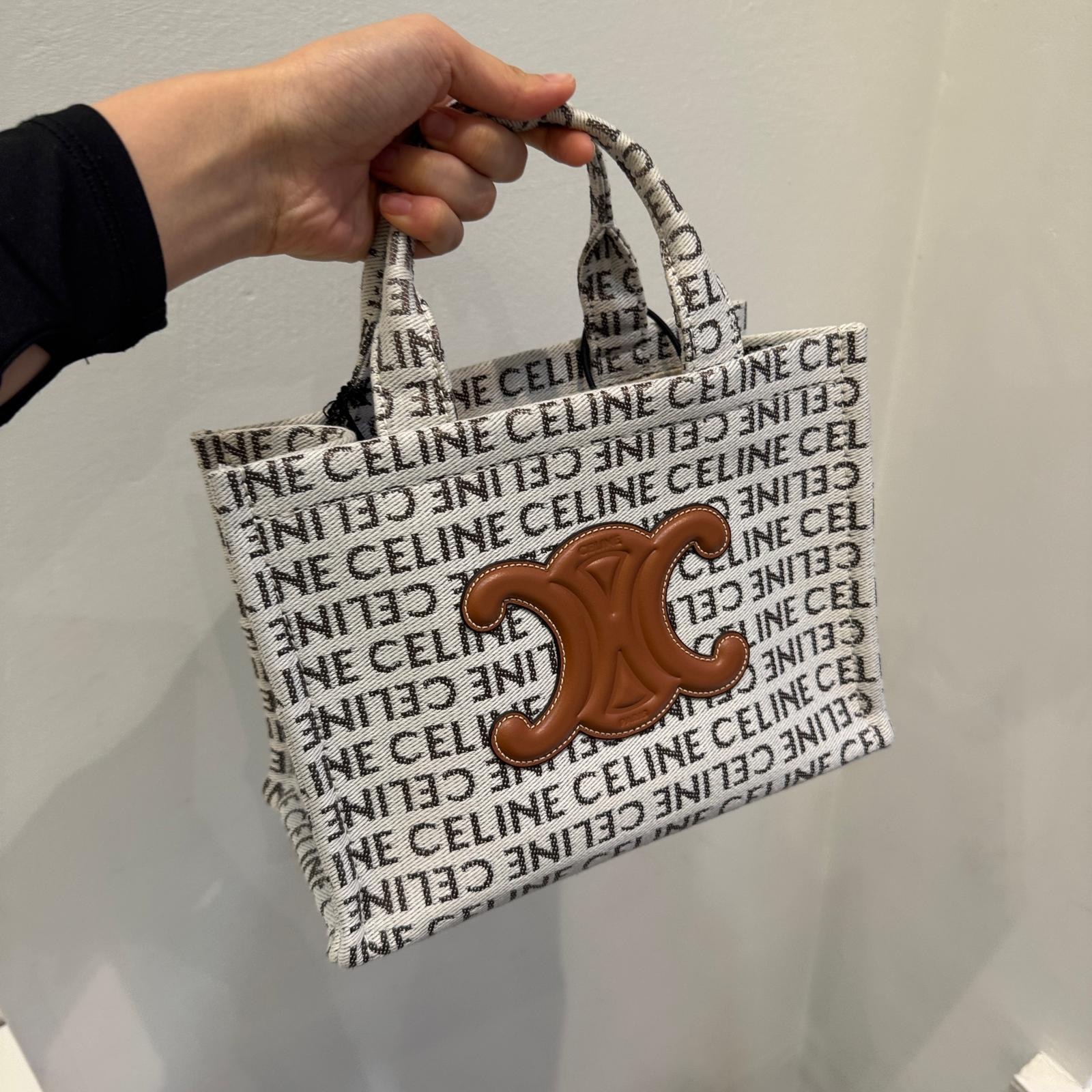 Celine Small Cabas Tote bag in Natural / Tan