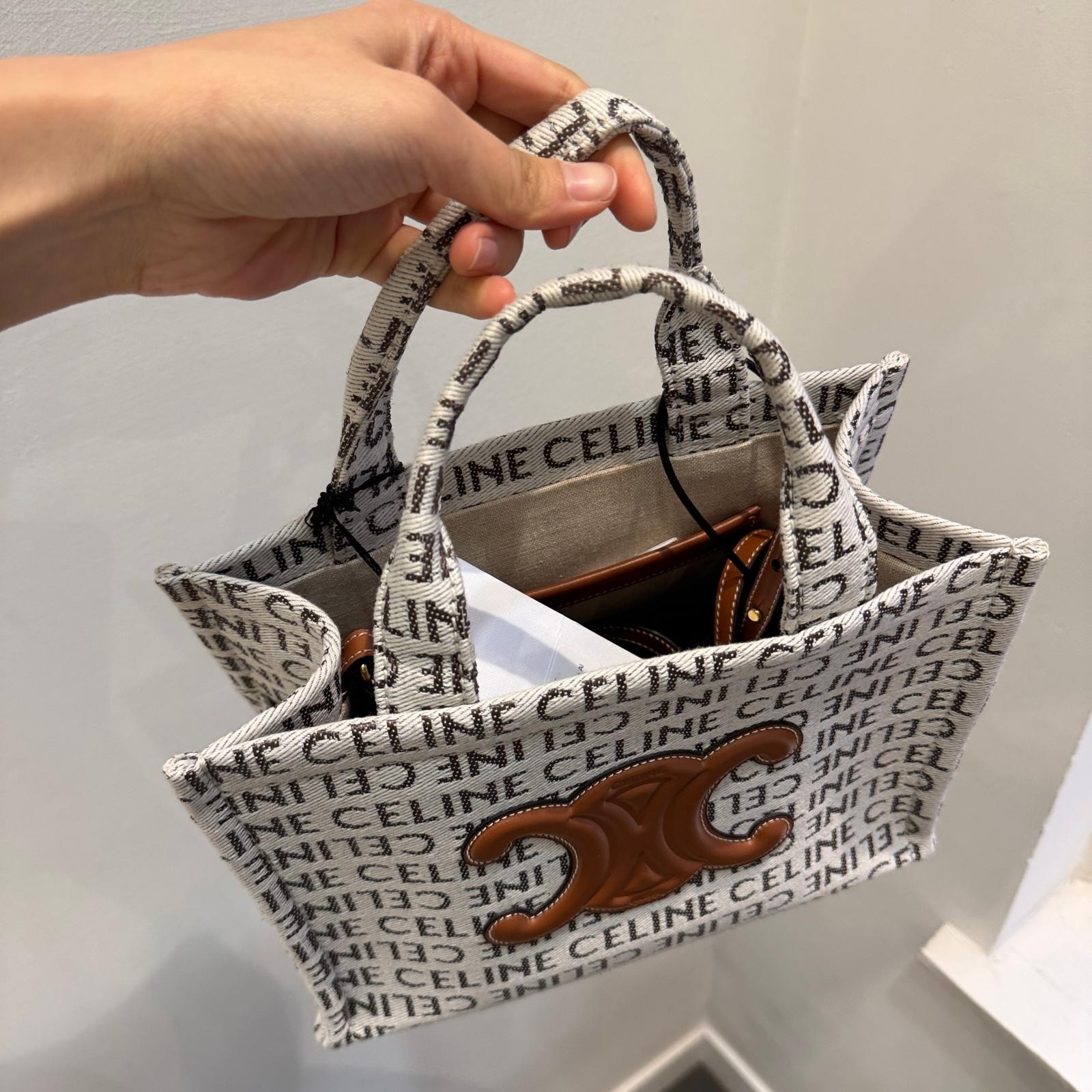 Celine Small Cabas Tote bag in Natural / Tan