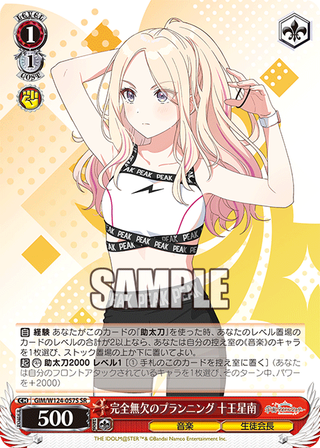 【GIM/W124-057S SR0】完全無欠のプランニング 十王星南