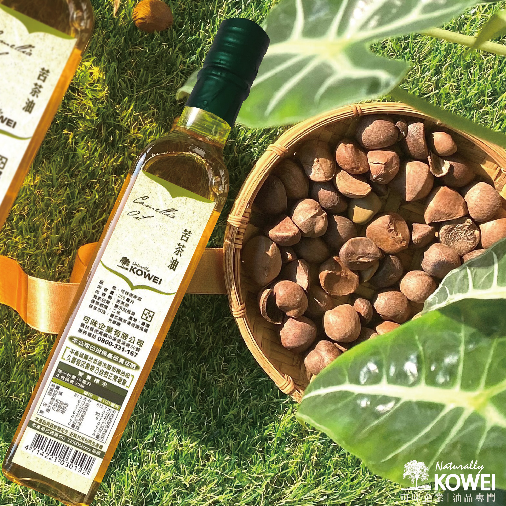 冷壓初榨苦茶油