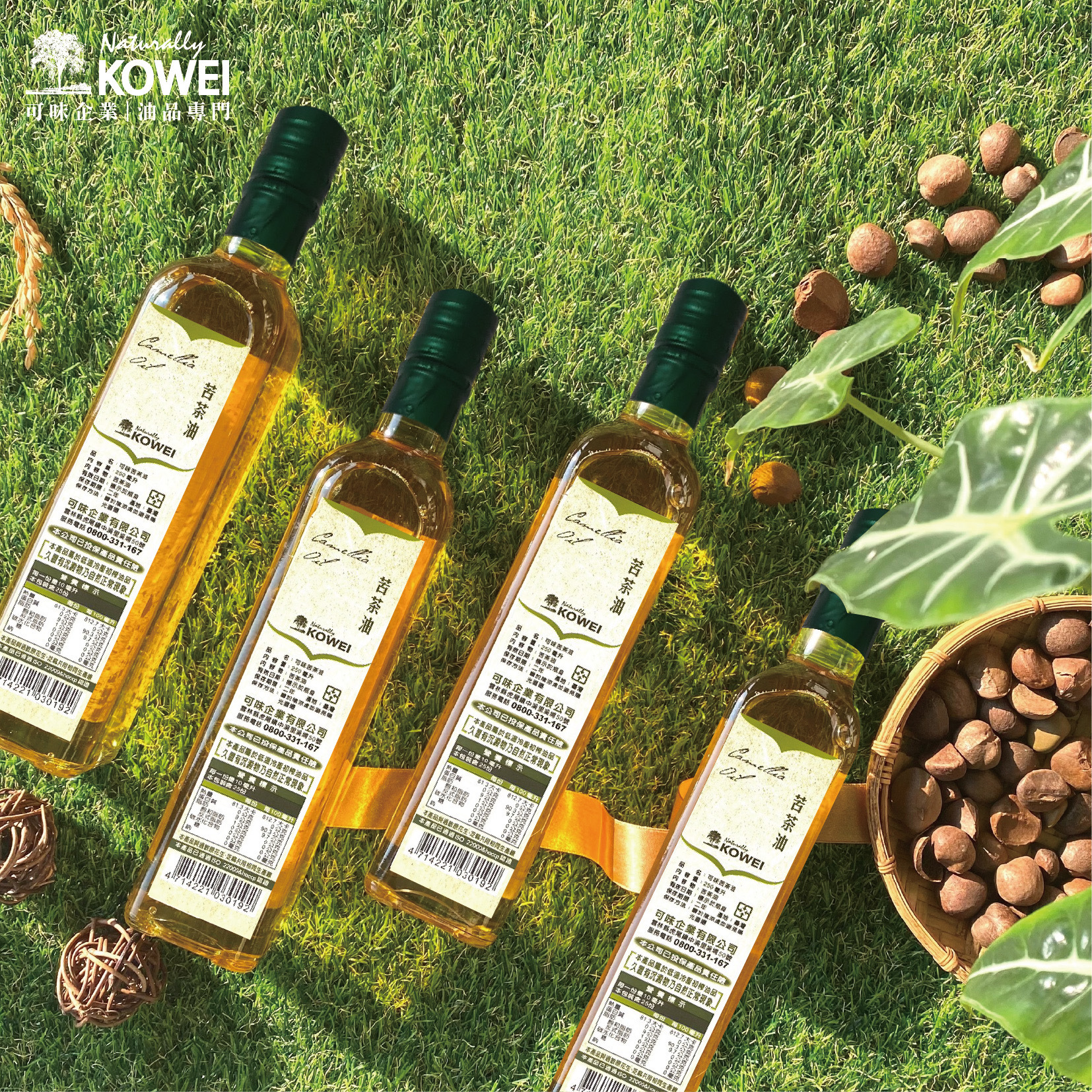 冷壓初榨苦茶油