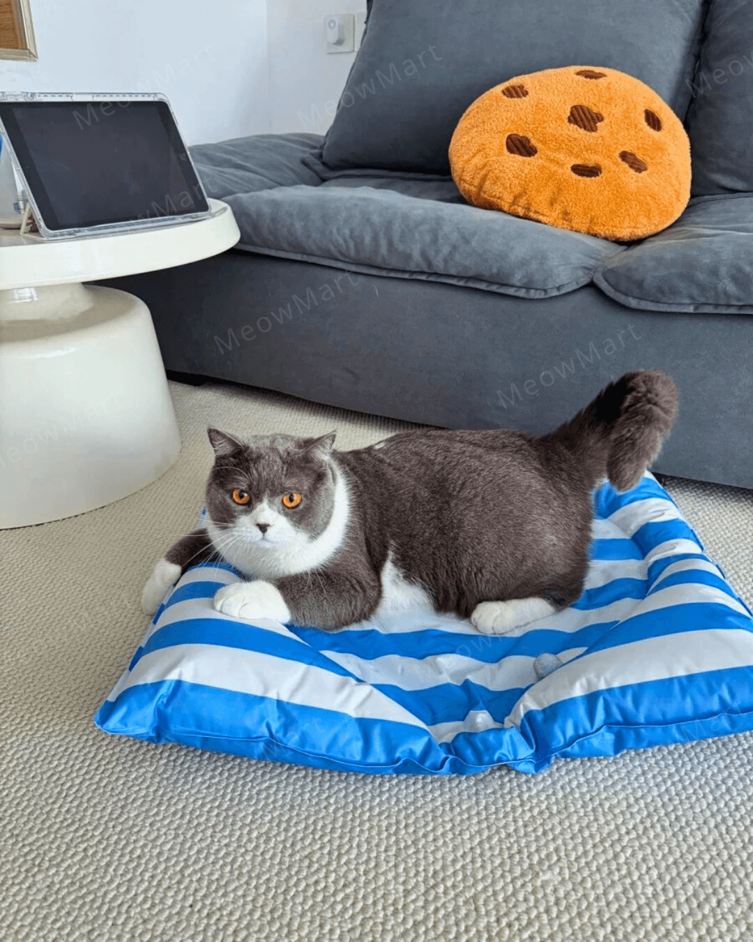 TOOCAT 愛心降溫冰墊