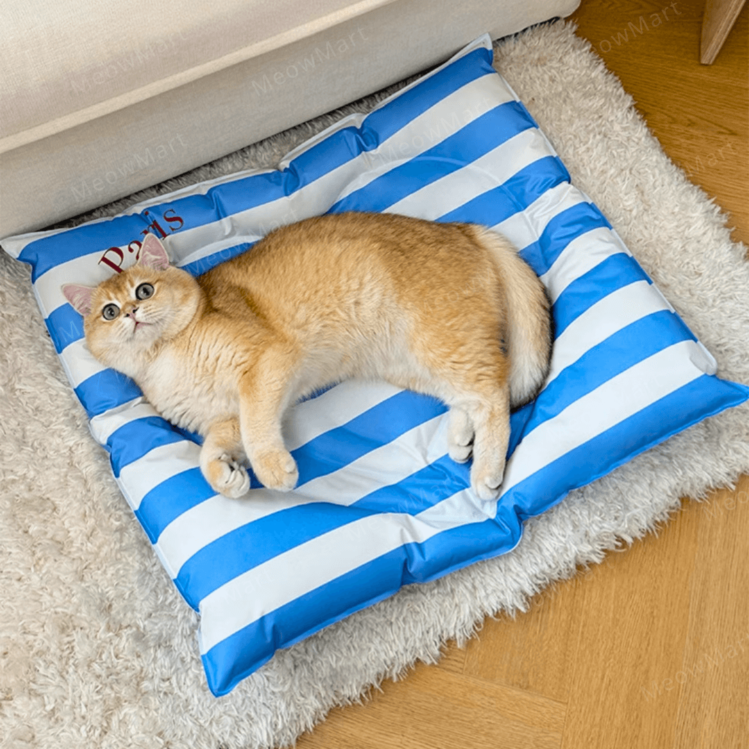 TOOCAT 愛心降溫冰墊