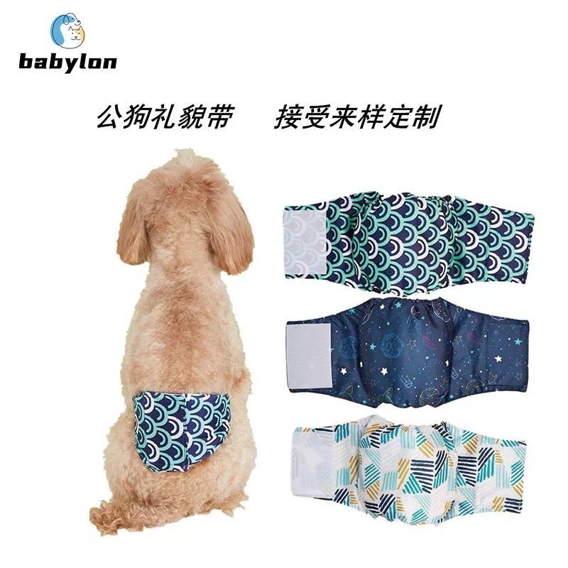 宠物衣服 公狗礼貌带