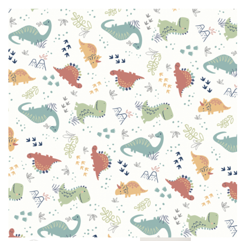 Lulujo 棉質包被 – 恐龍