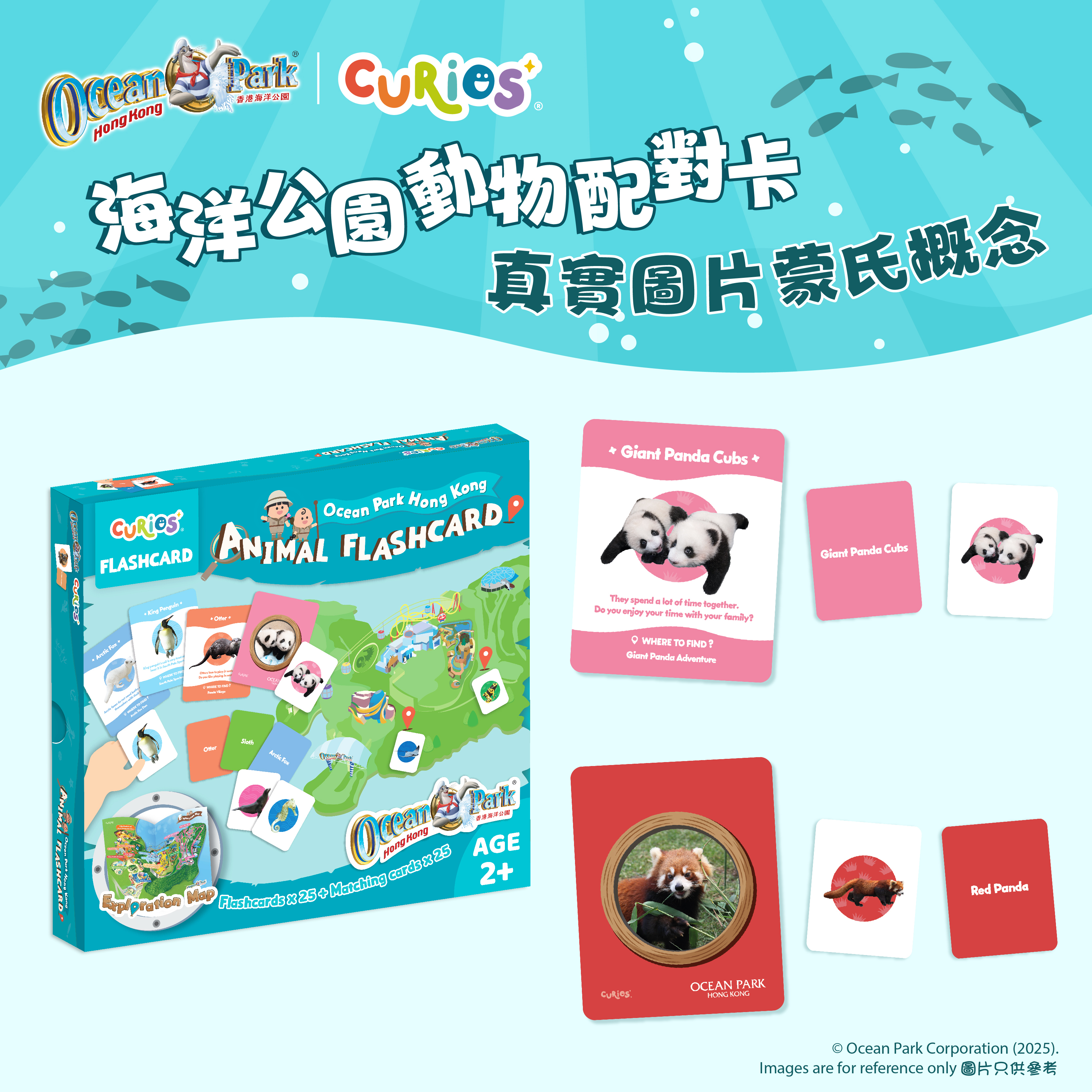 Curios®️海洋公園動物配對卡