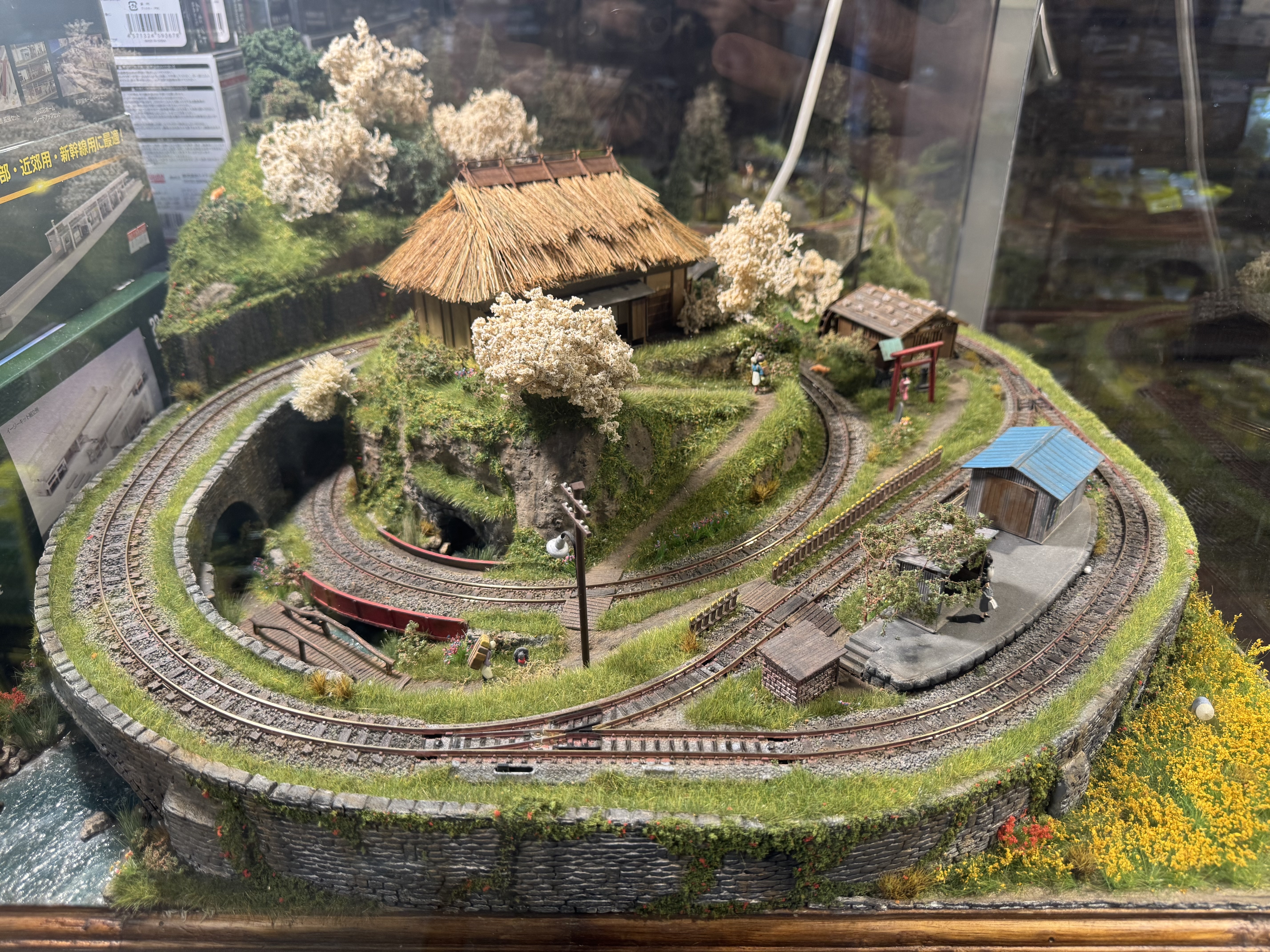 大型景 HOe規 櫻花的物語