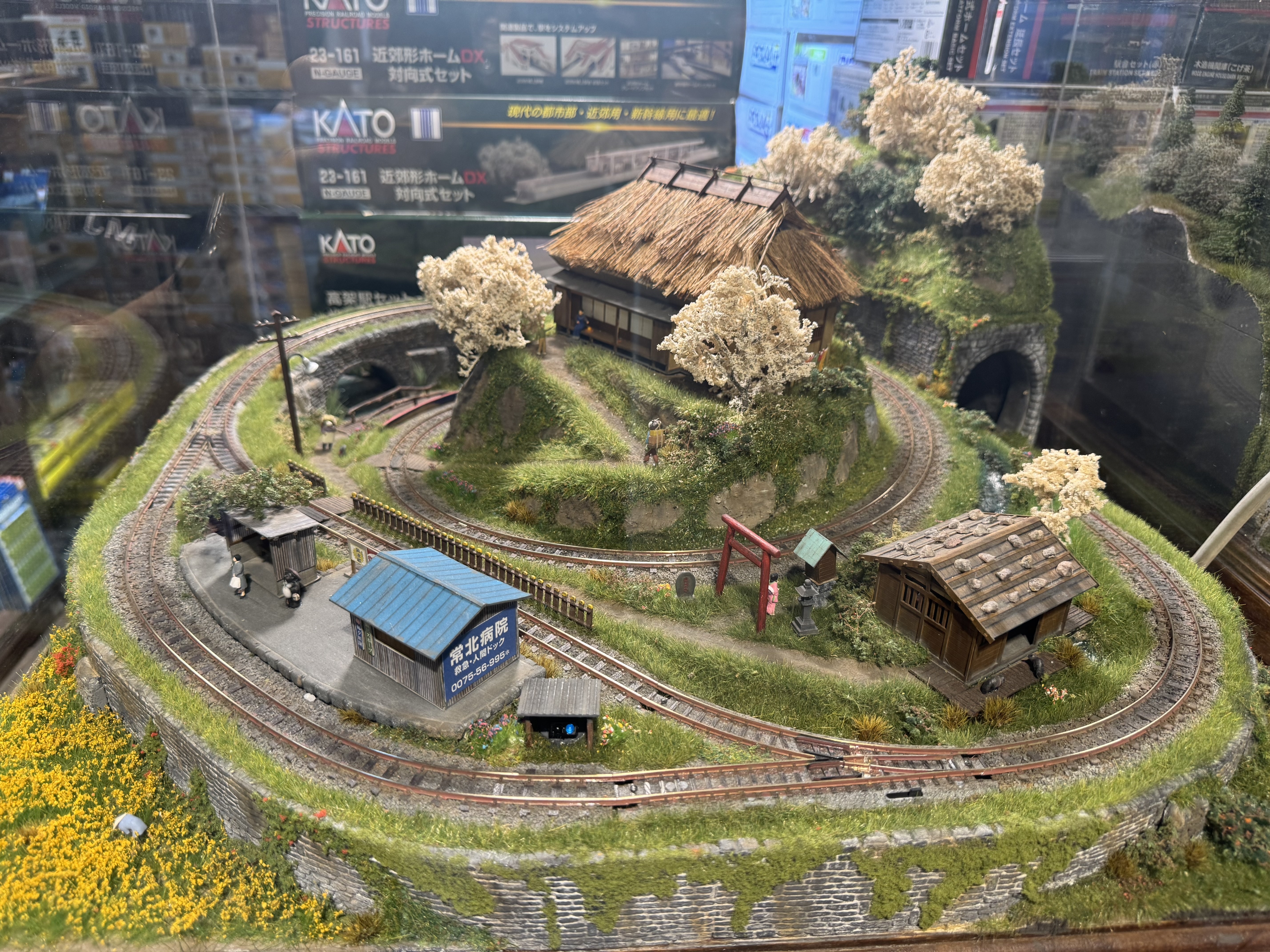 大型景 HOe規 櫻花的物語