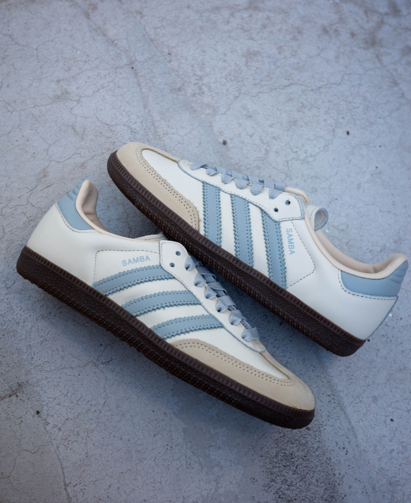 Adidas Samba OG 起司海鹽 灰藍奶油 德訓鞋 JH7299