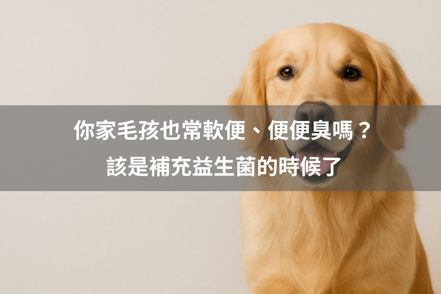 你家毛孩也常軟便、便便臭嗎？該是補充益生菌的時候了