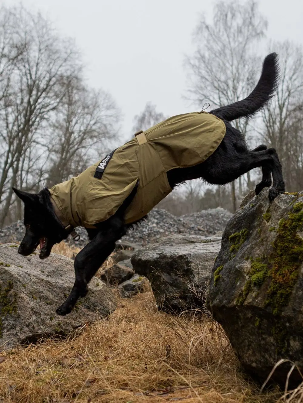 【Non-stop dogwear】FJORD機能防風雨衣/WD工作犬系列