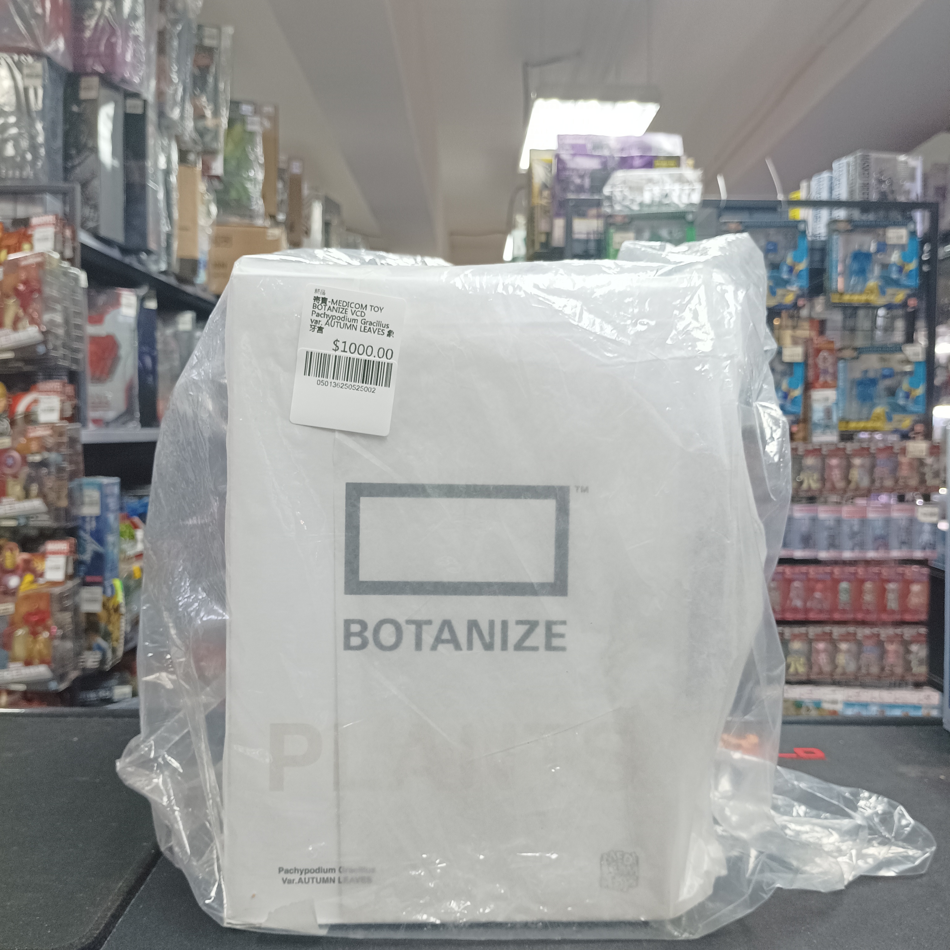 寄賣-MEDICOM TOY BOTANIZE VCD Pachypodium Gracilius var. AUTUMN LEAVES 象牙宮