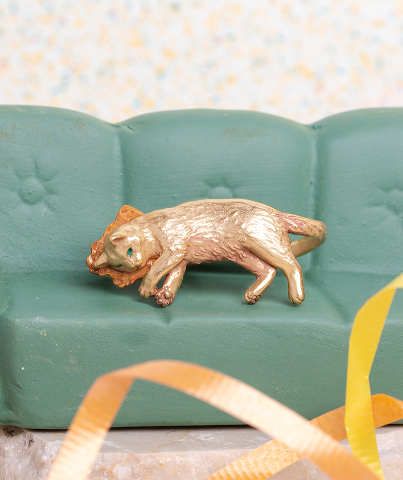 把紙箱當枕頭的貓戒指