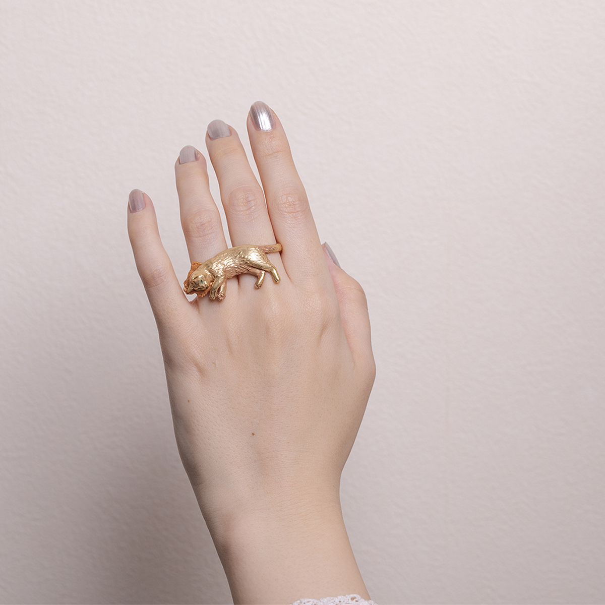 把紙箱當枕頭的貓戒指