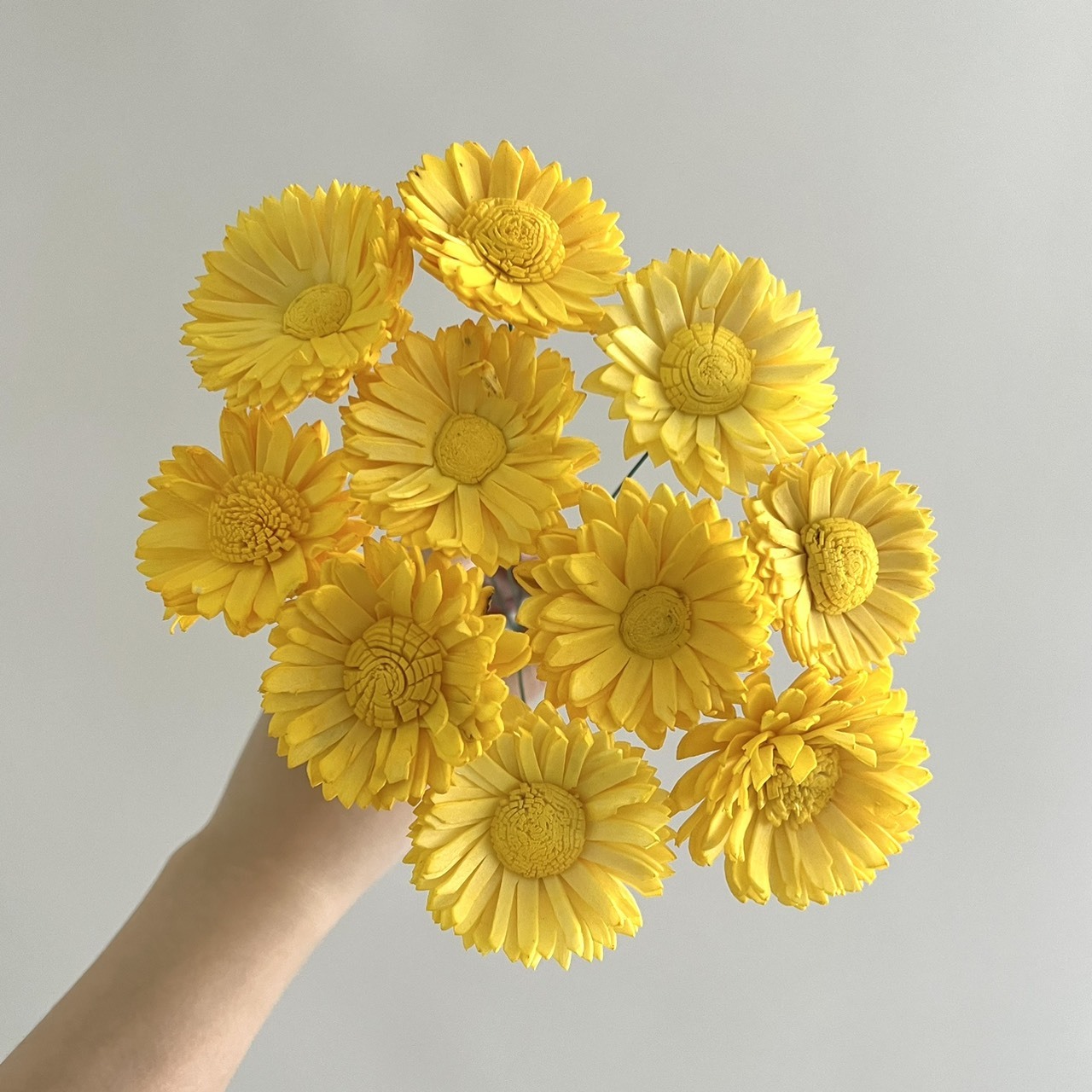 越南索拉花 水染向日葵4CM -109U<十支一把>