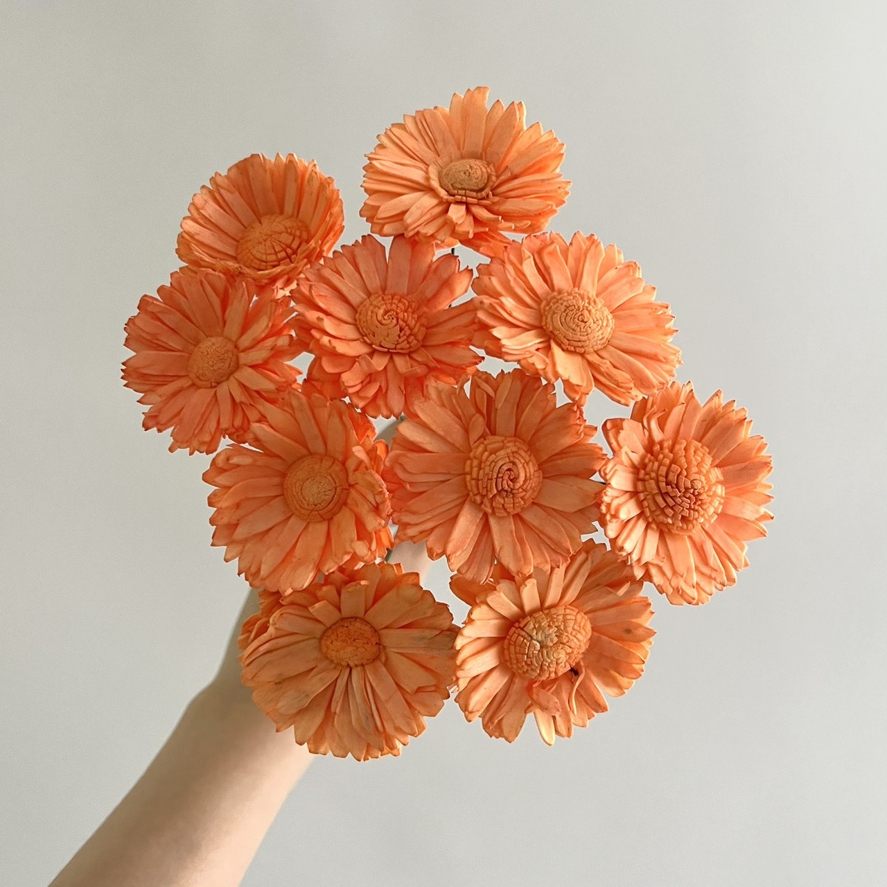 越南索拉花 水染向日葵4CM -161359<十支一把>