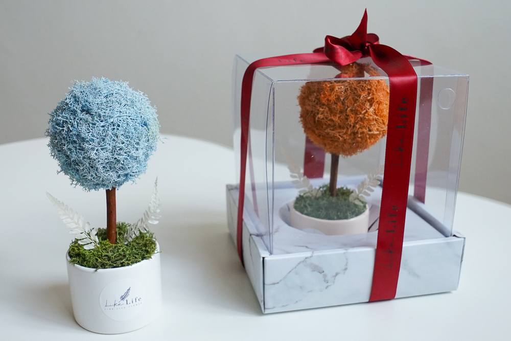 永生花小樹球,藍色小樹球3