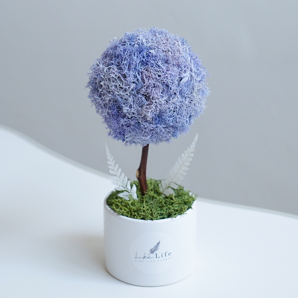 紫屬於你,紫色永生花小樹球