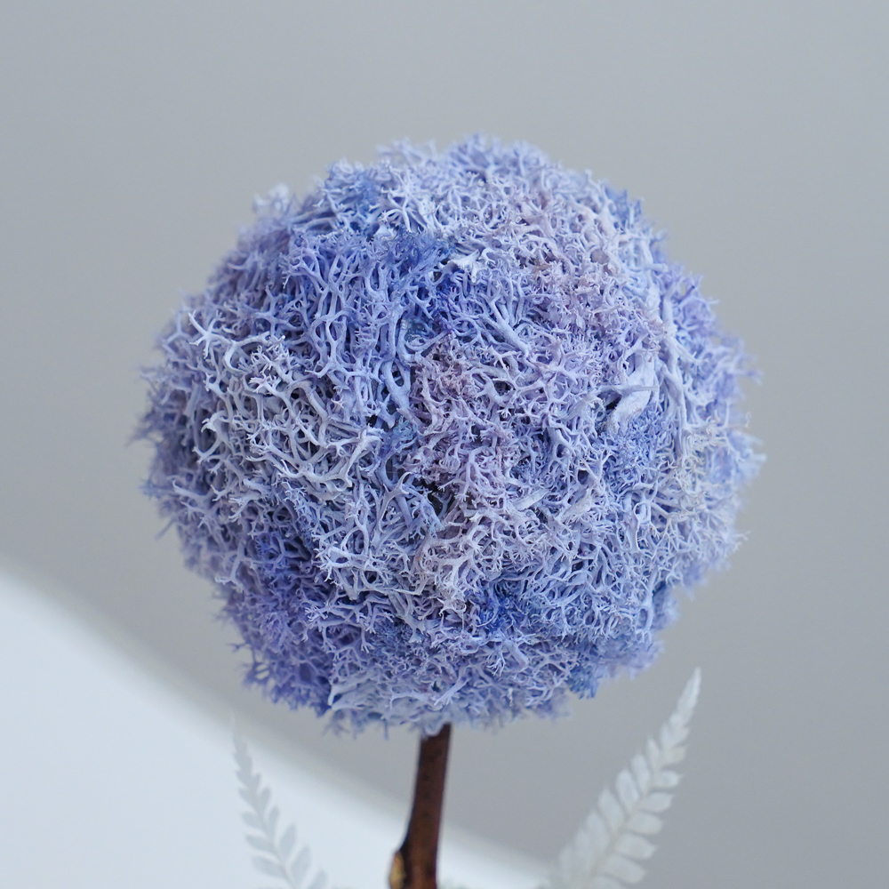 紫屬於你,紫色永生花小樹球