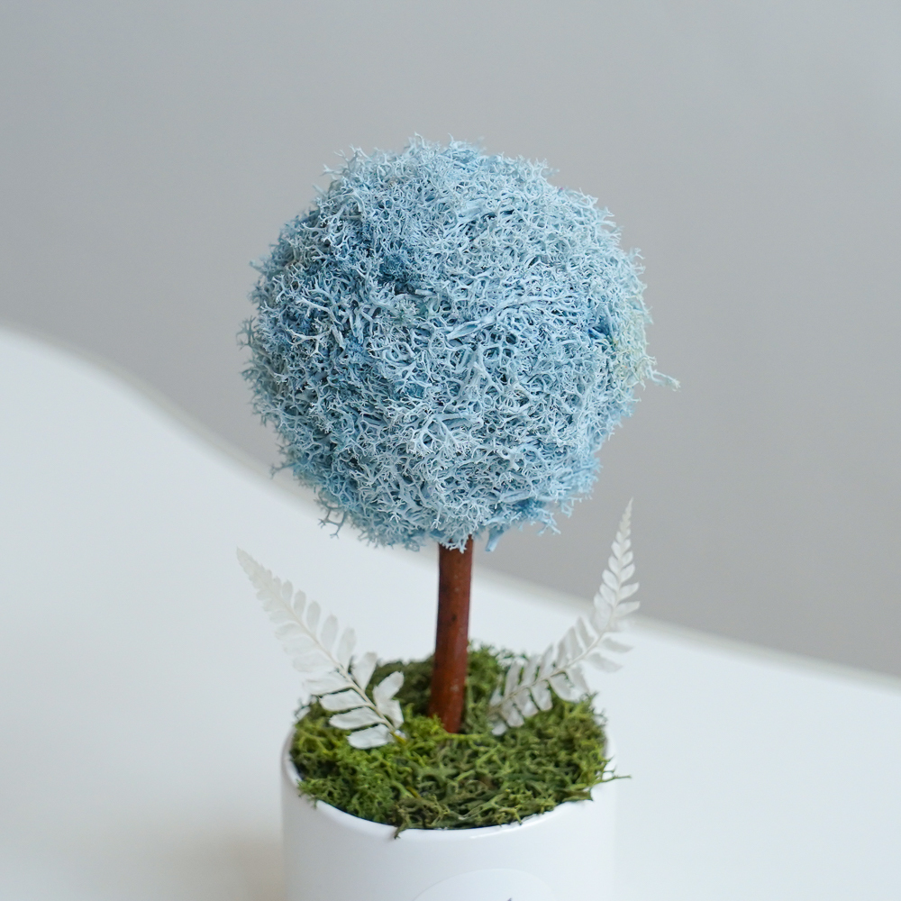 永生花小樹球,藍色小樹球2