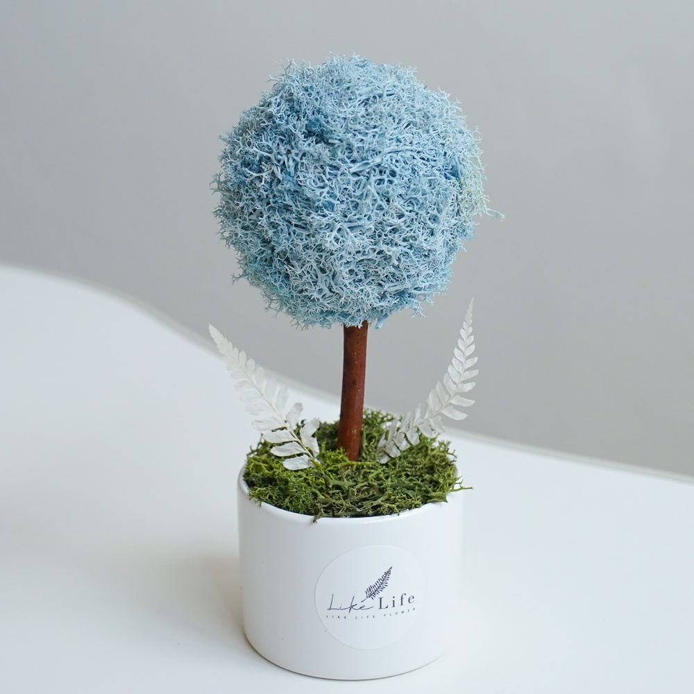 永生花小樹球,藍色小樹球