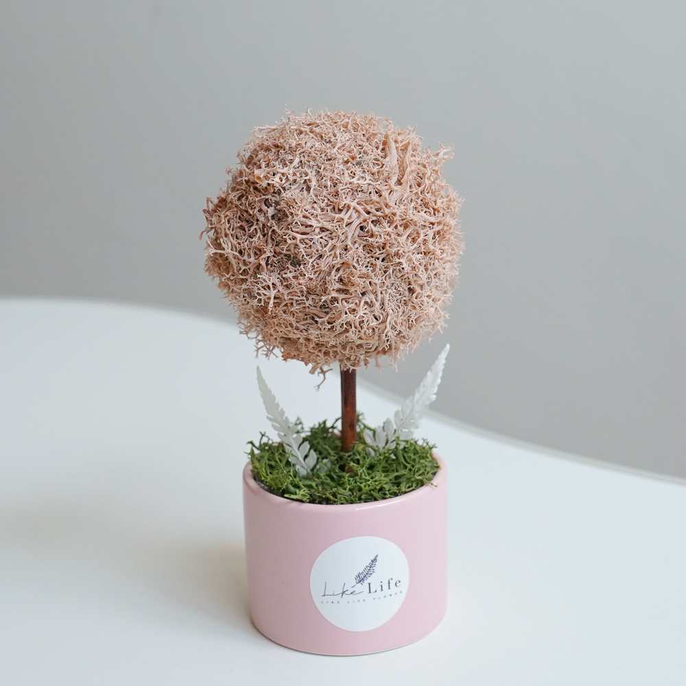 粉色小樹球,粉色小樹球推薦,粉色永生花樹球