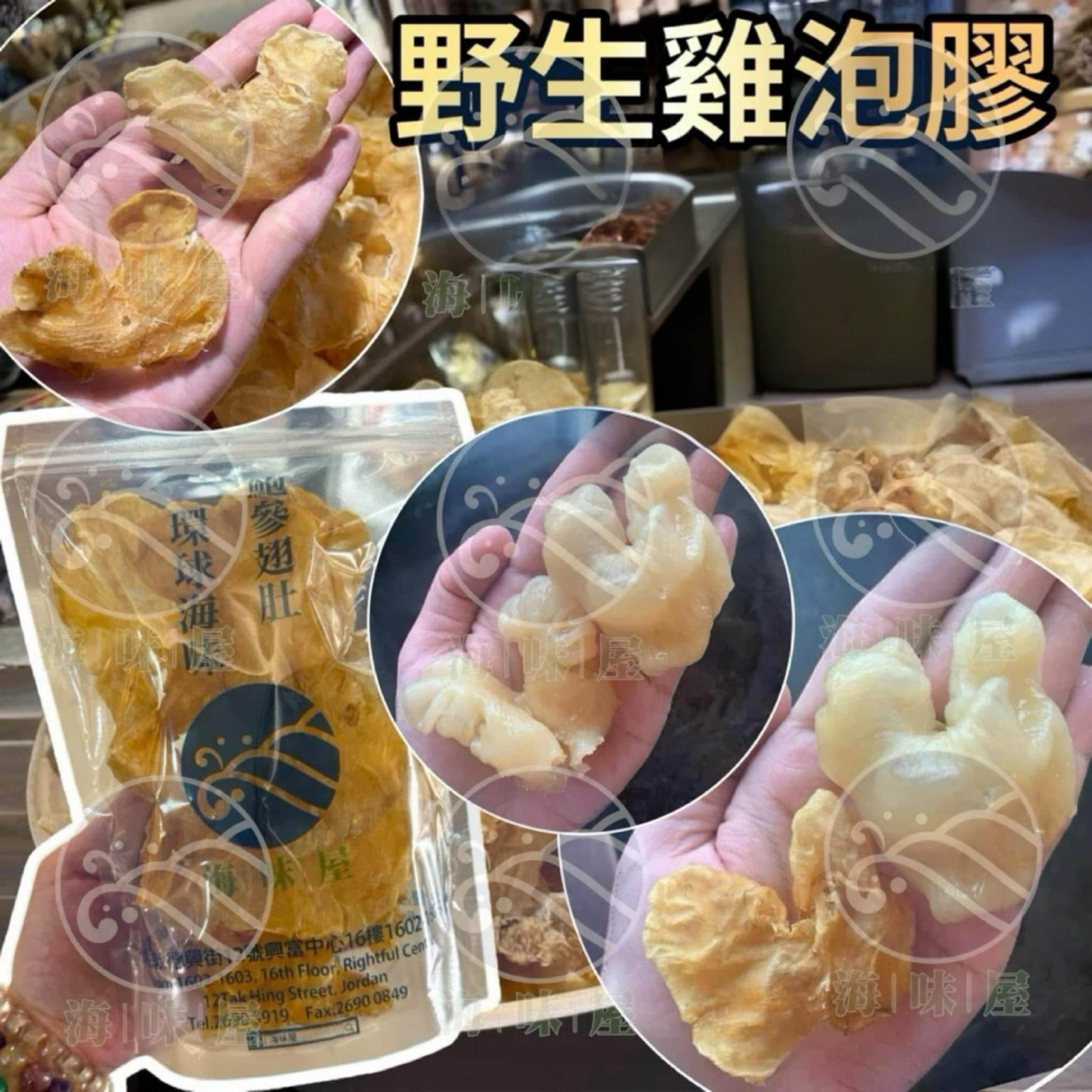 H15916 野生雞泡膠  (2両約22-26隻）