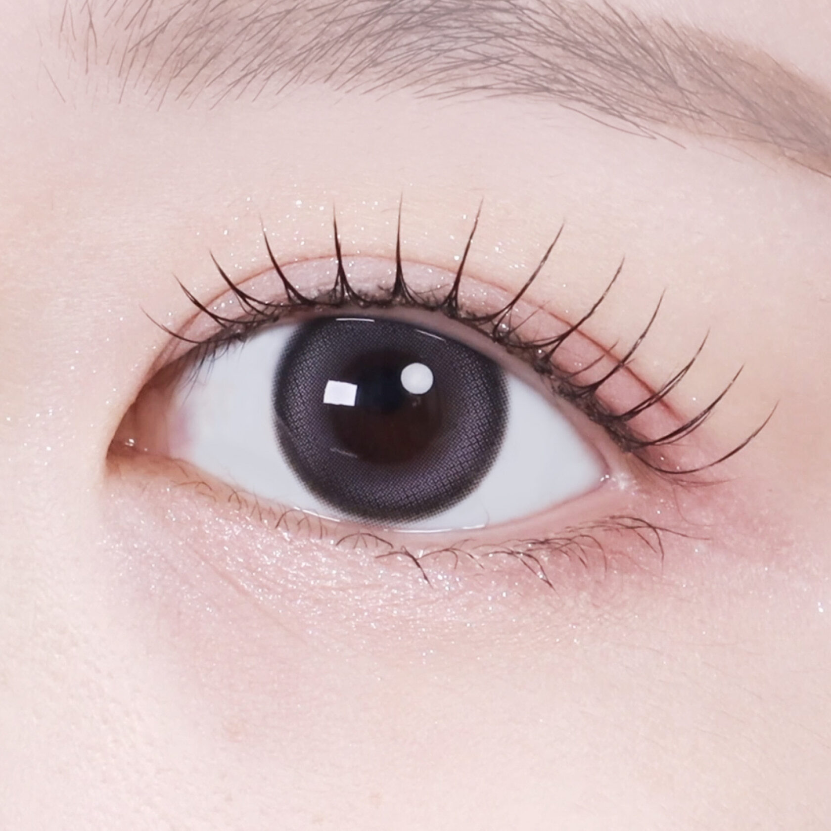 OOHA Dew e Dew Monthly(Purple)