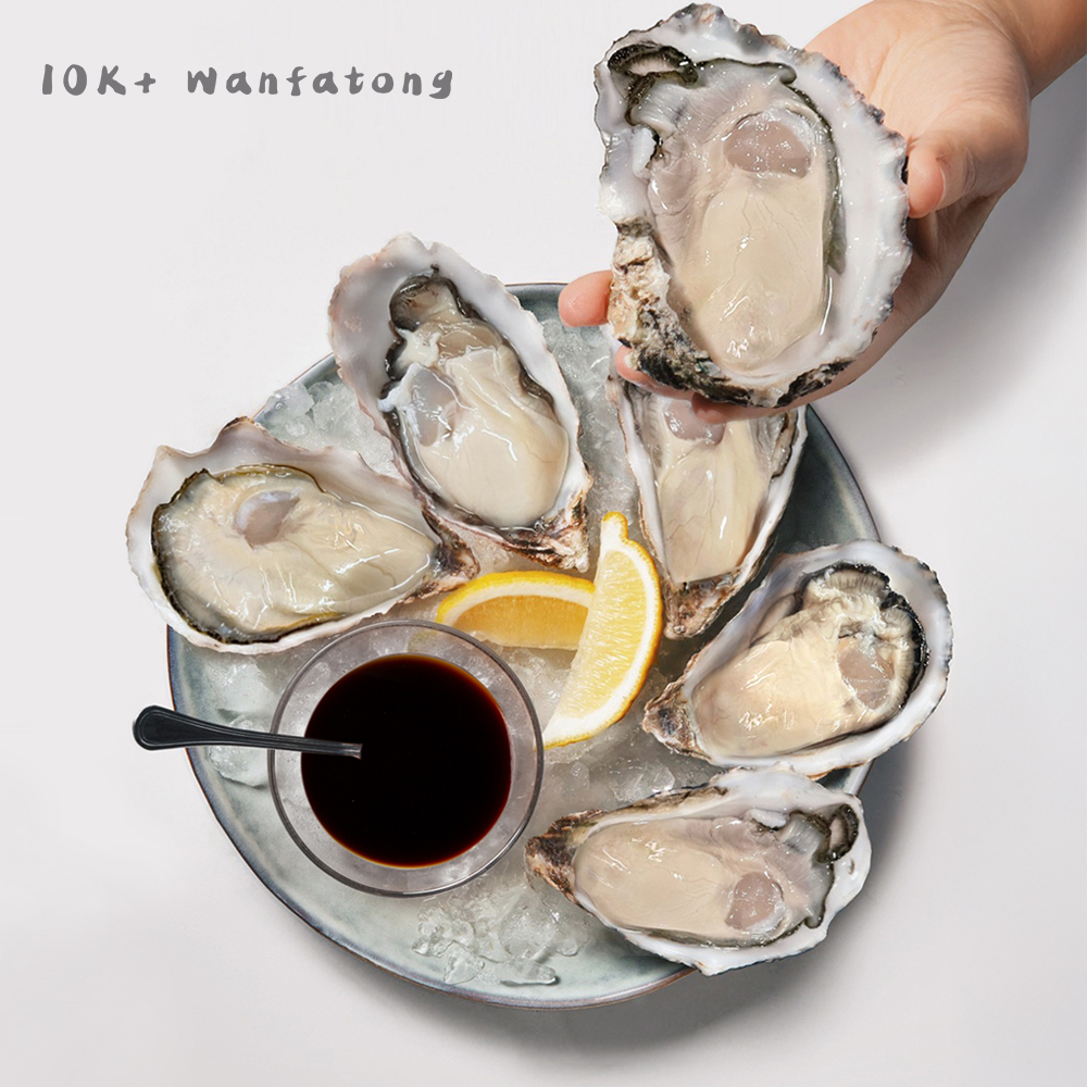 L日本帶殼生食級生蠔