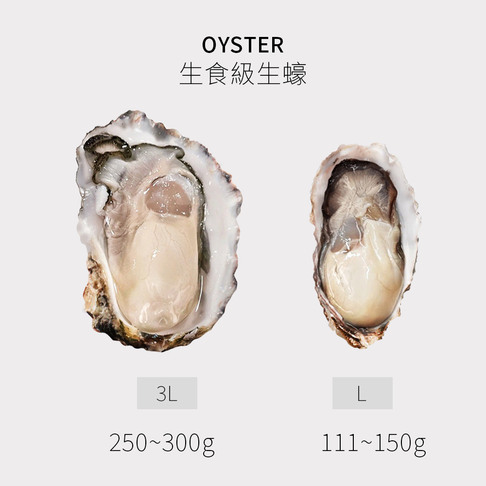 L日本帶殼生食級生蠔