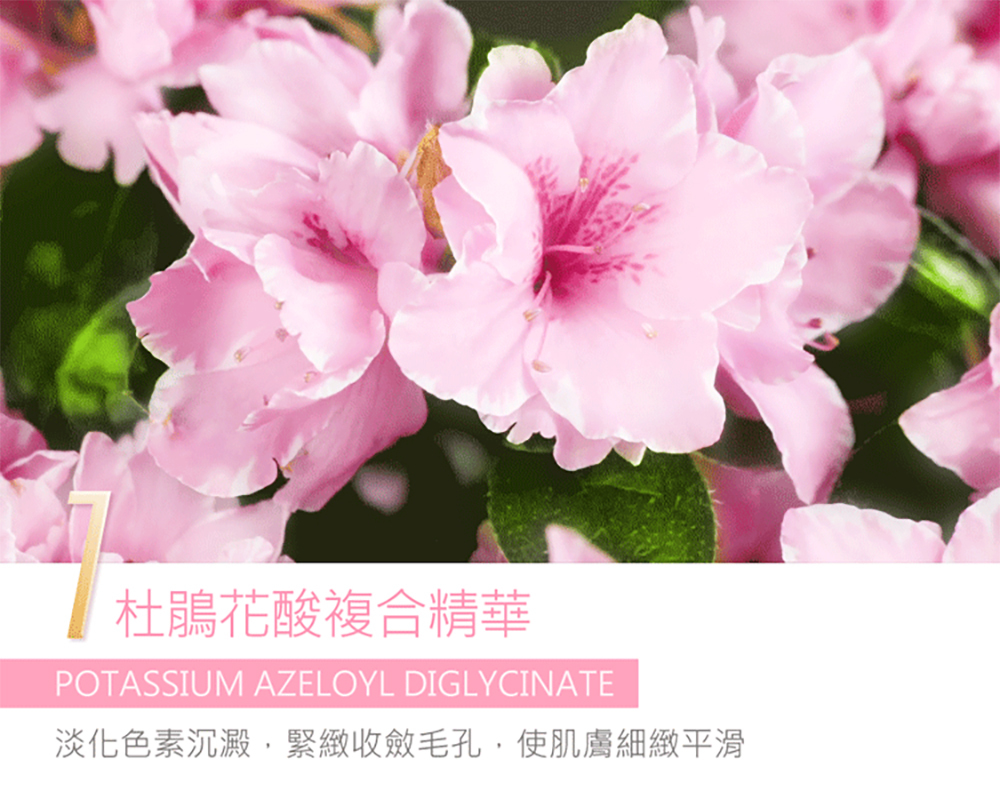 jealousness 婕洛妮絲 杜鵑花酸煥白煥膚面膜30g(隨身裝)