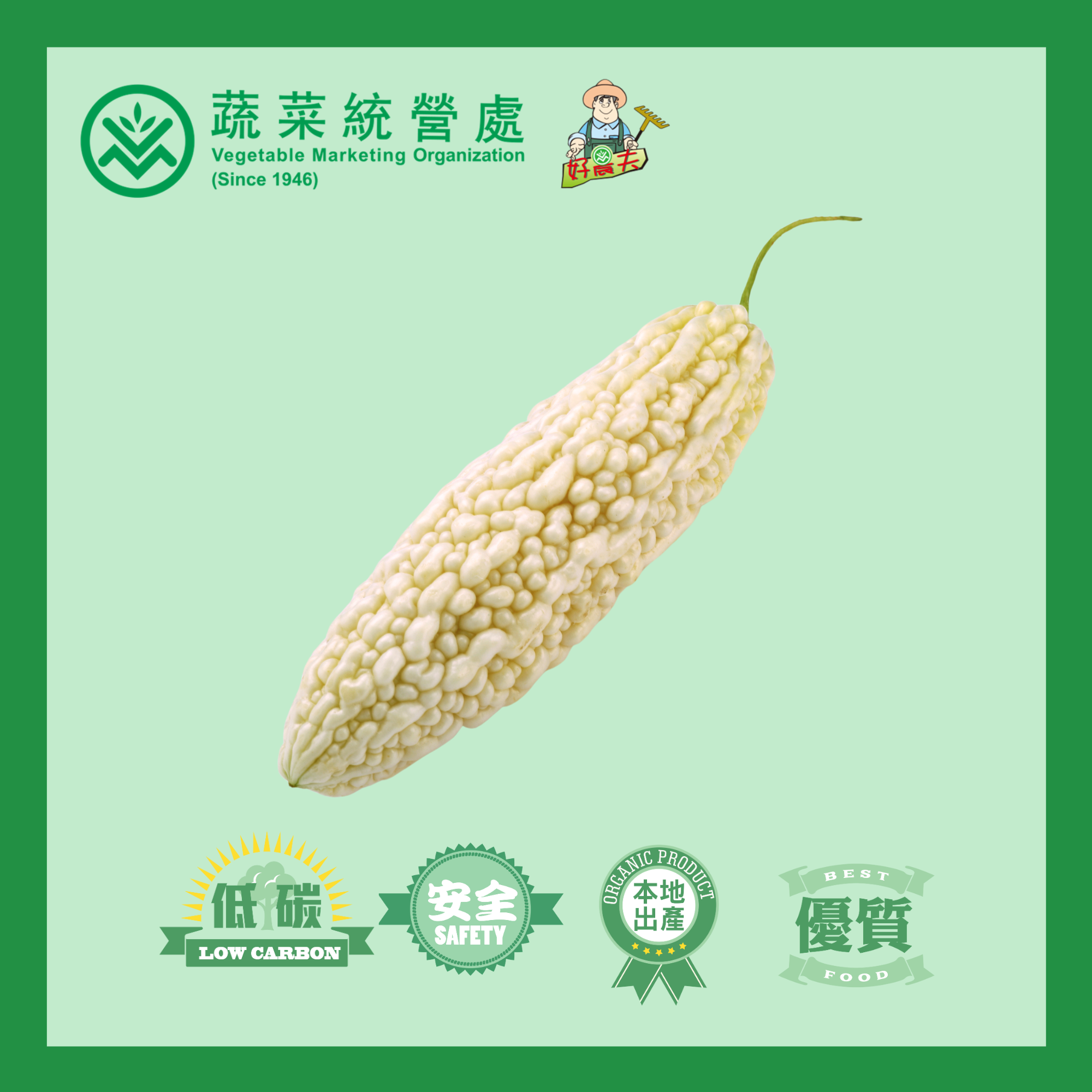 本地有機白苦瓜 (斤)