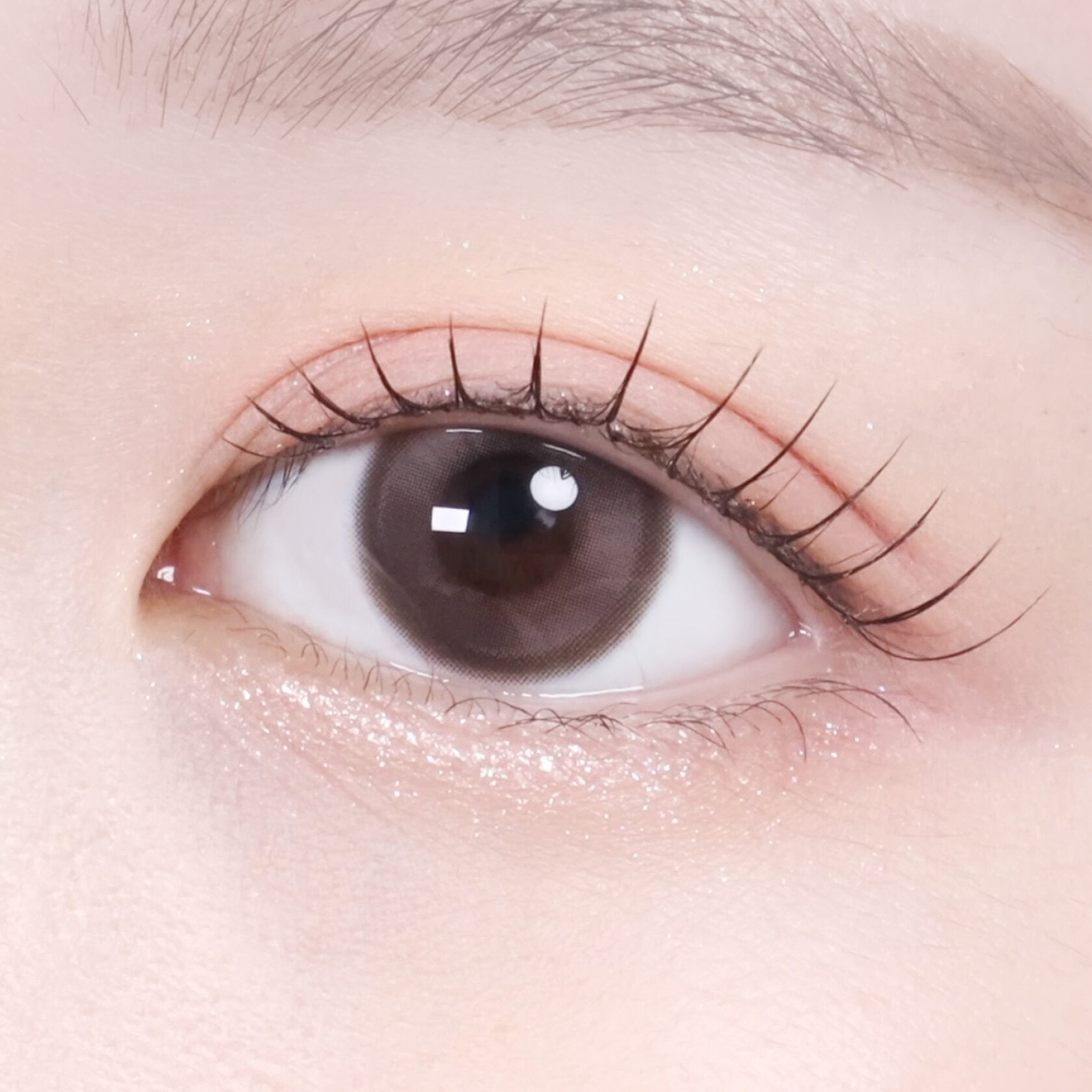 OOHA Coco Mio Monthly(Rose Brown)