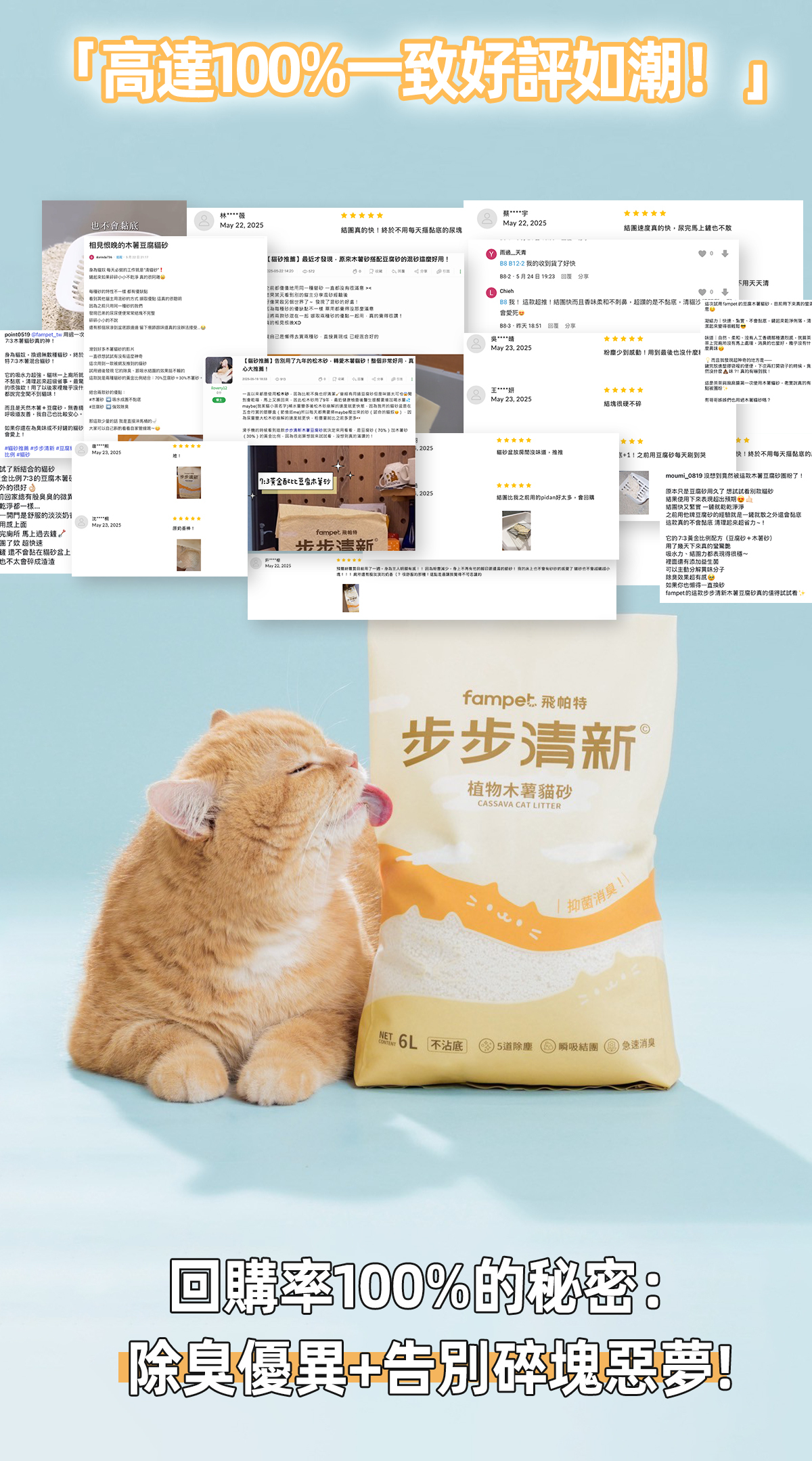 步步清新貓砂評價100%超好評!