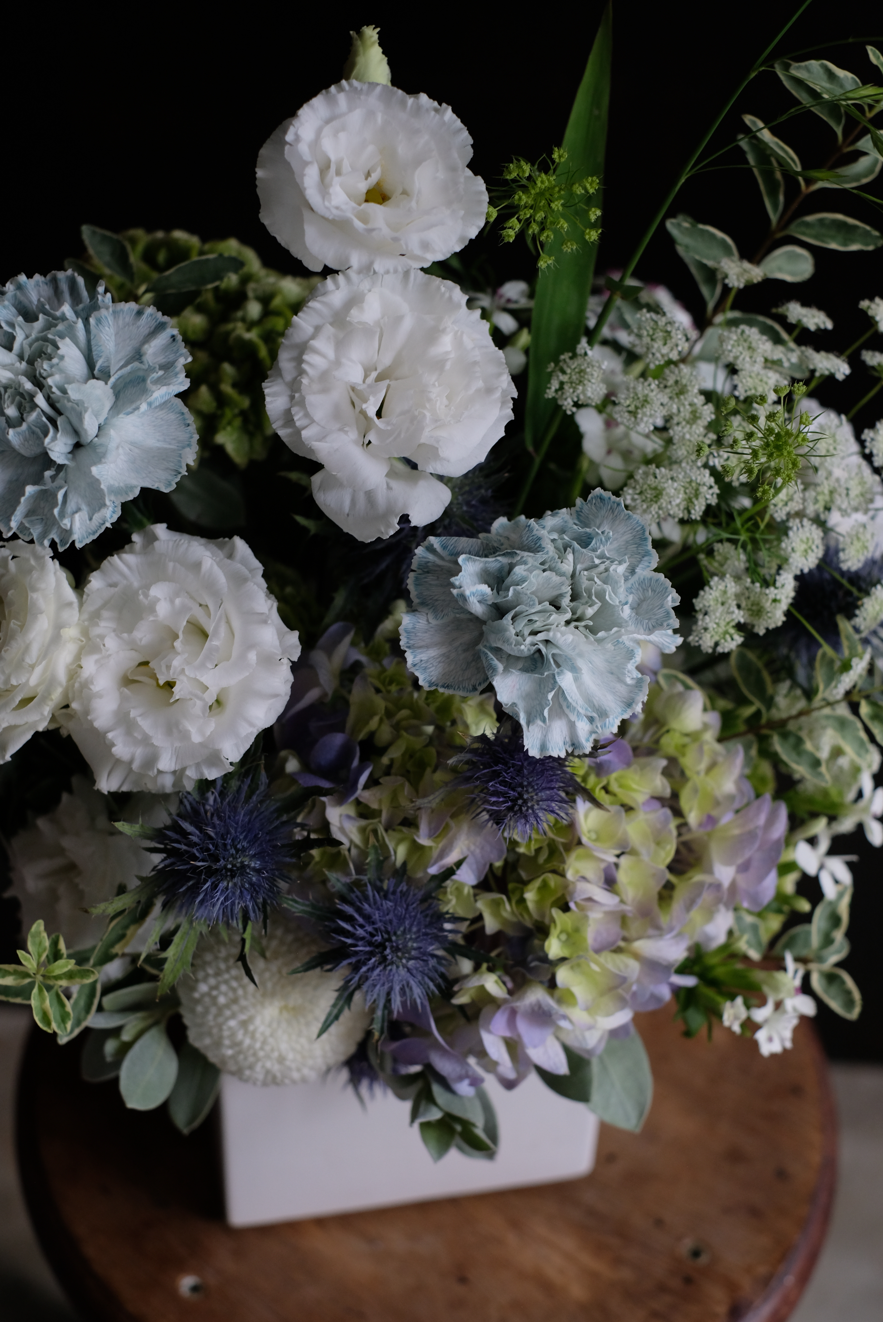 海洋之沫｜藍白色鮮花盆花