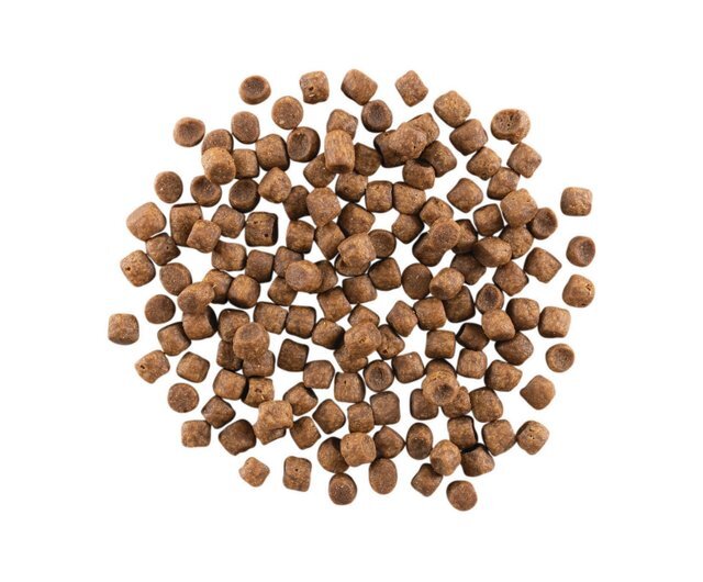 【葛林菲GREEN FISH】肝腎成犬完全功能飼料 (1.5kg)