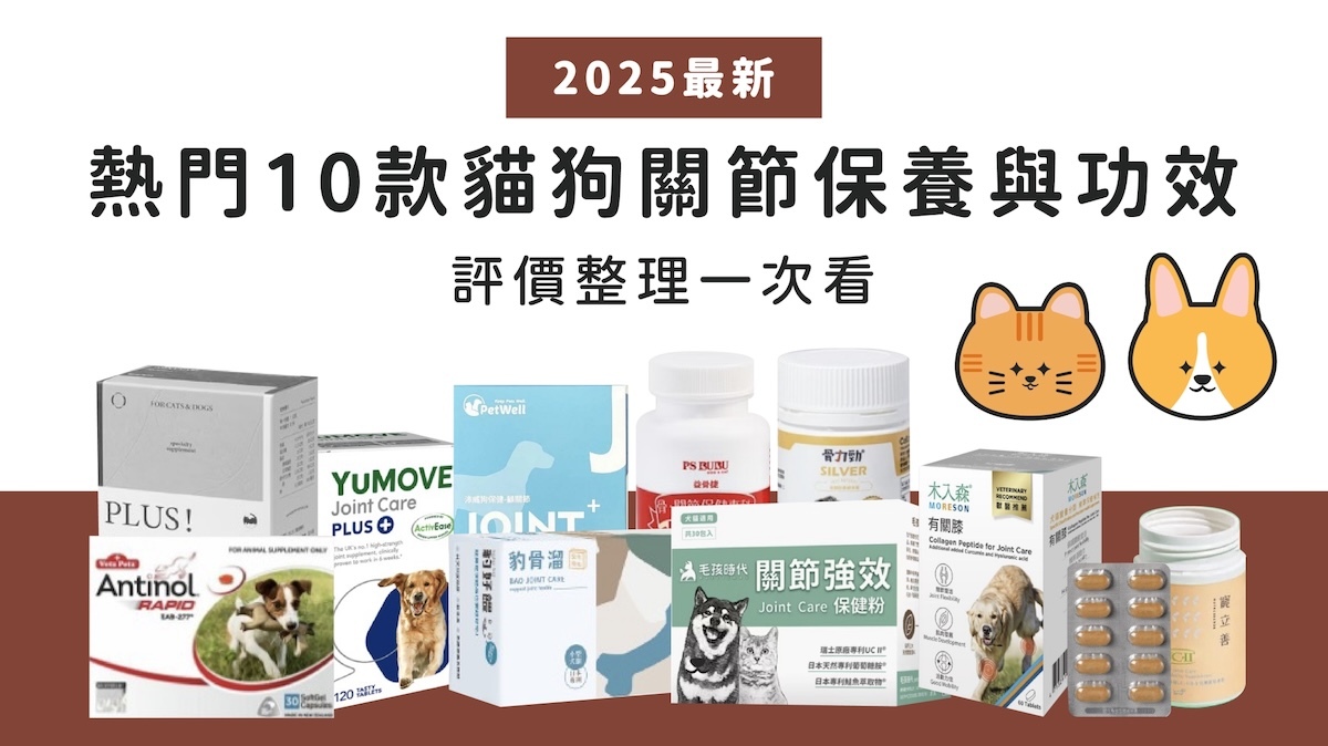 狗狗關節保健品推薦,貓咪關節保健,寵物骨骼與關節保健推薦品一次看