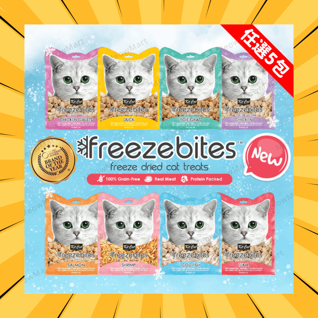 【任選5包】Kit Cat 低溫凍乾小食 15g x 5 (平均$20)