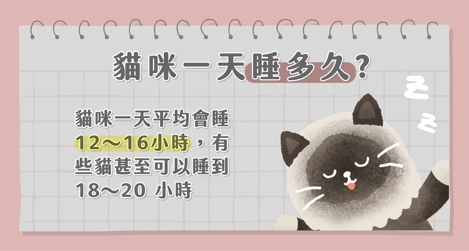 貓咪一天睡多久