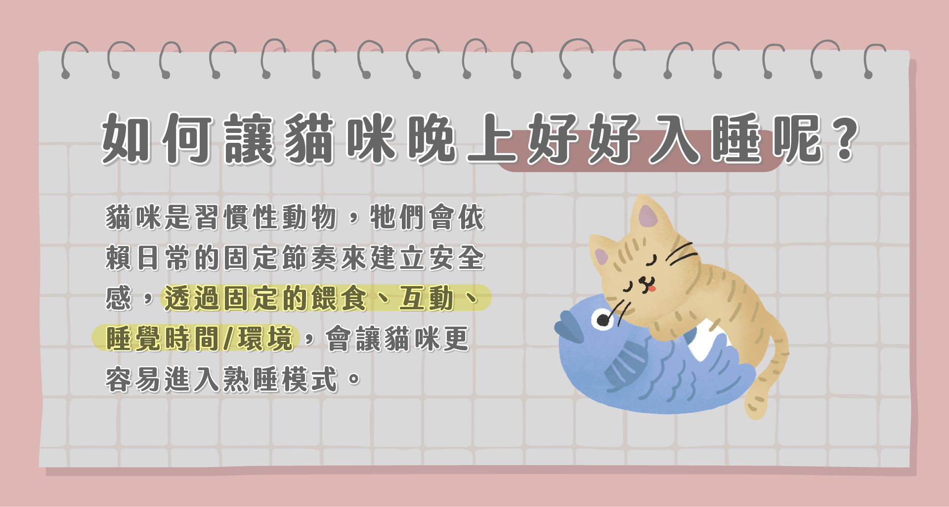 如何讓貓咪睡覺