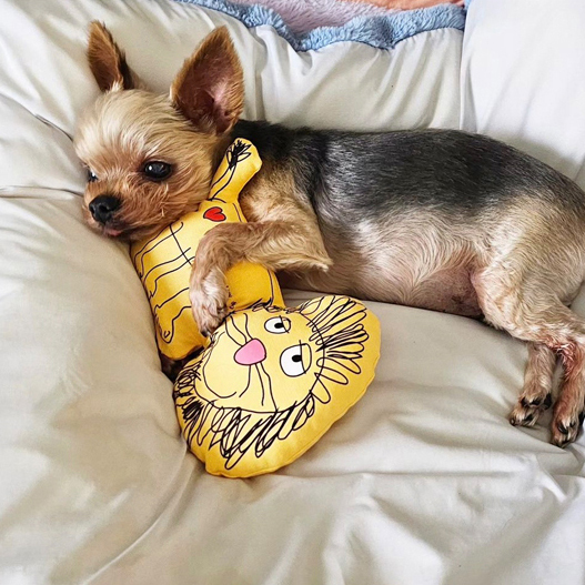 OOPS!｜  Crazy Simba Toy