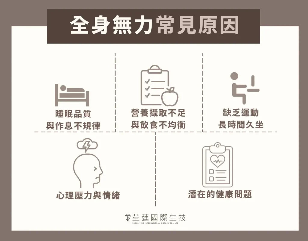 疲倦感與全身無力的常見原因