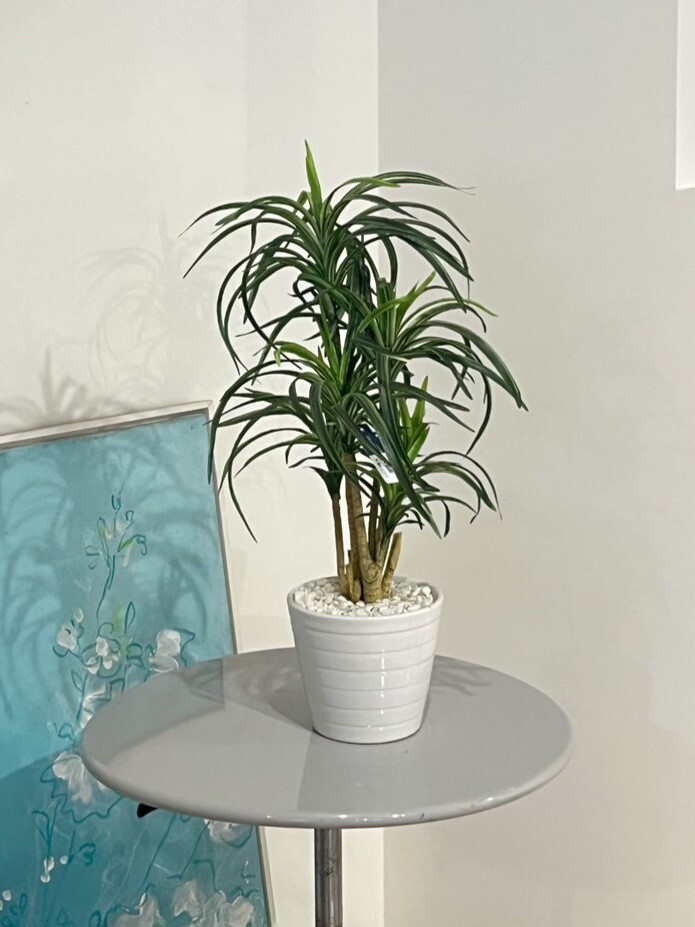 擬真樹 絲蘭 小型 60cm