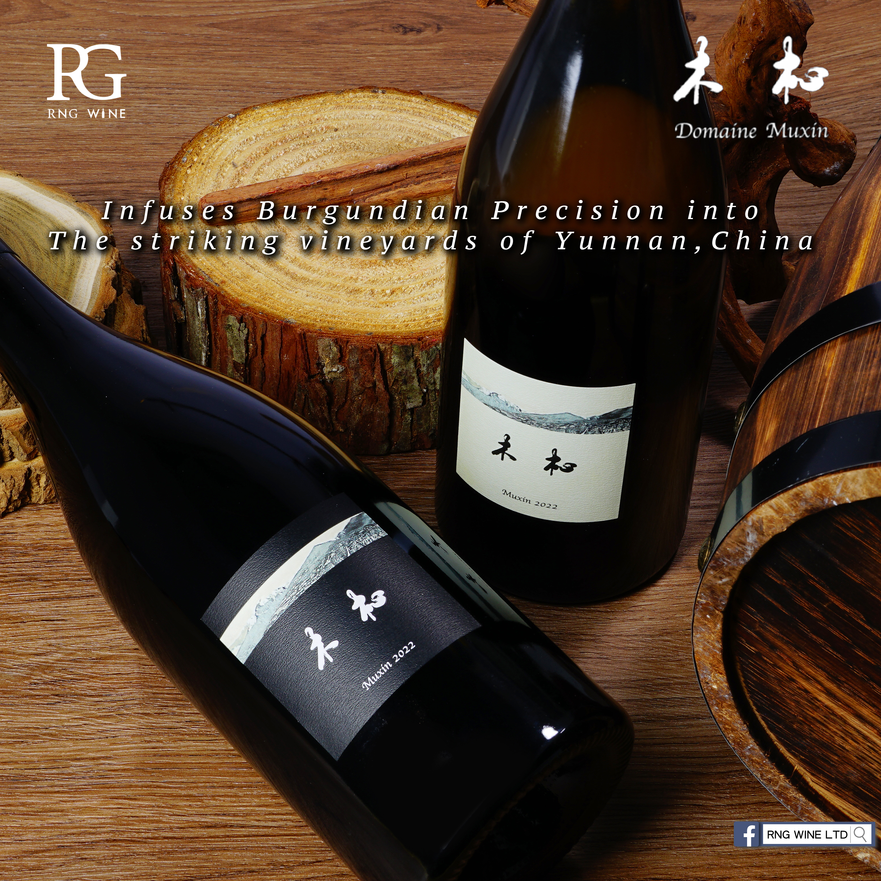 Domaine Muxin Blanc 2022 (WA95)