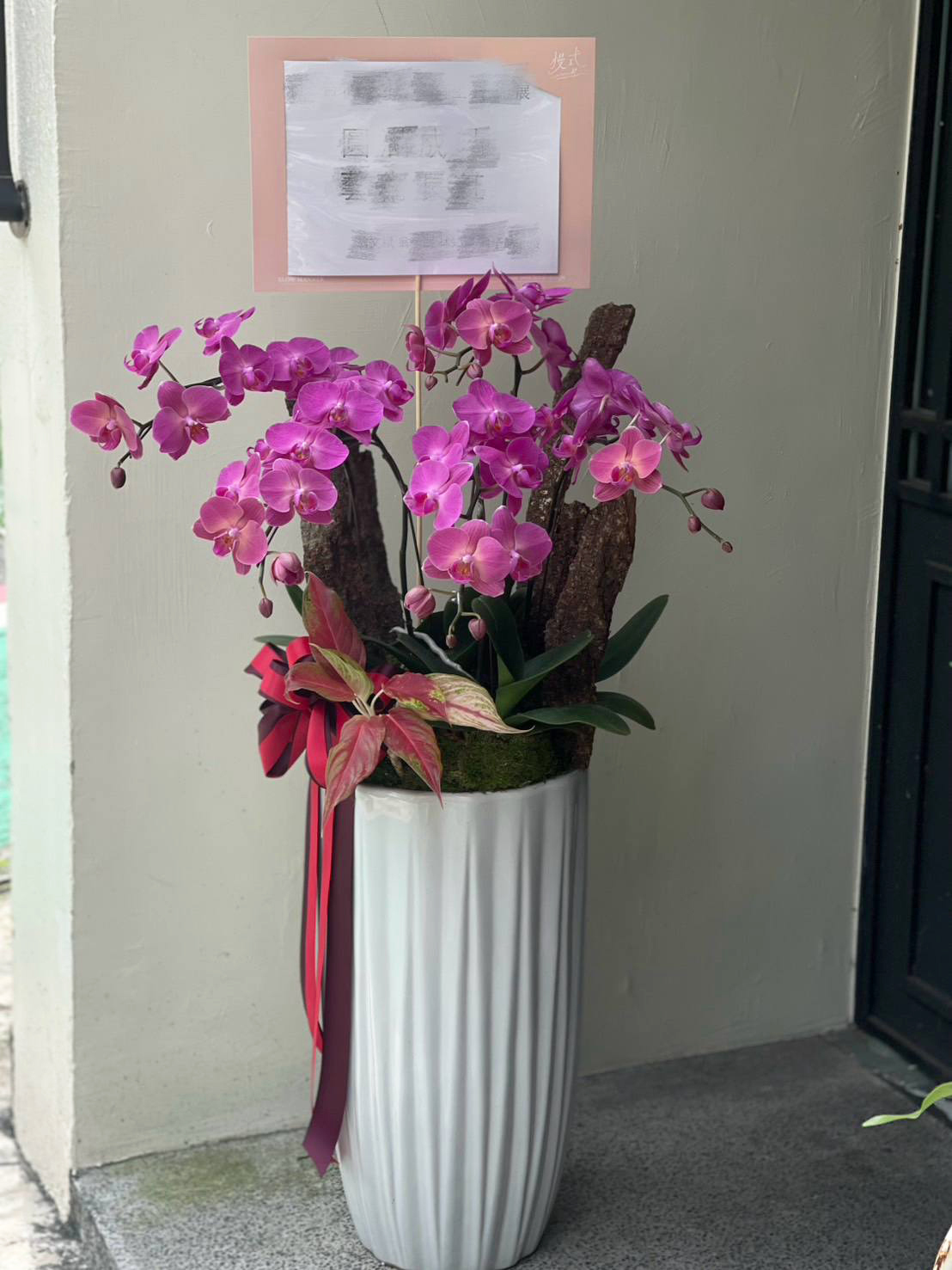 大氣落地款｜蘭花組合植栽－嫣紅 (L)