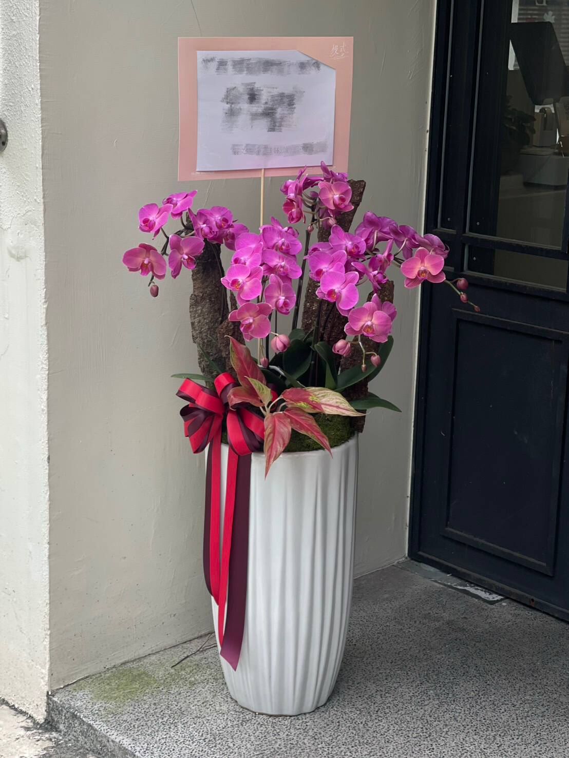 大氣落地款｜蘭花組合植栽－嫣紅 (L)