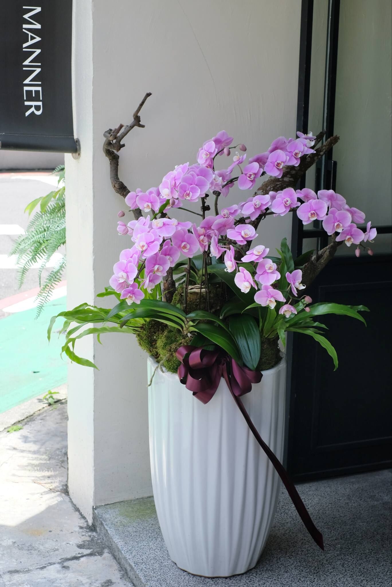 華麗落地款｜蘭花組合植栽－桃粉 (XL)