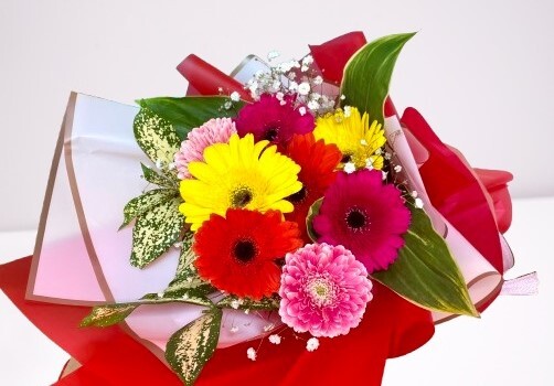 HHB45B FREE DELIVERY